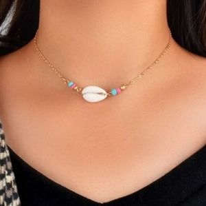 Sea Shell Choker Necklace